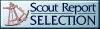 Internet Scout