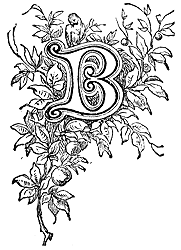 B