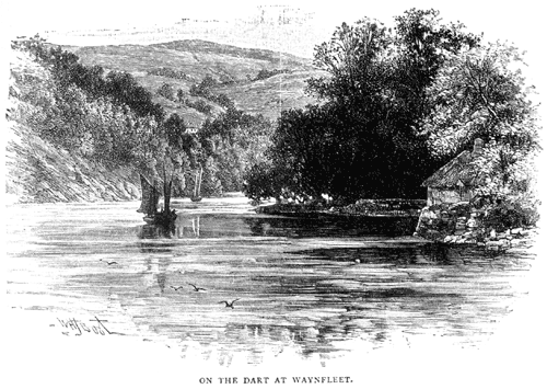 On the Dart at Waynfleet