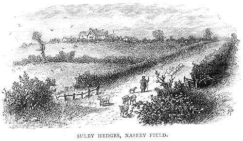 Sulby Hedges