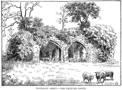 Waverley Abbey - the vualted crypt